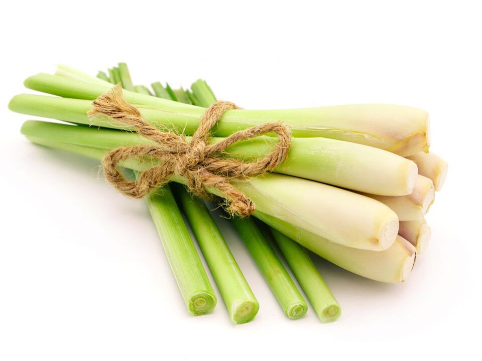 Lemongrass in Alcozar